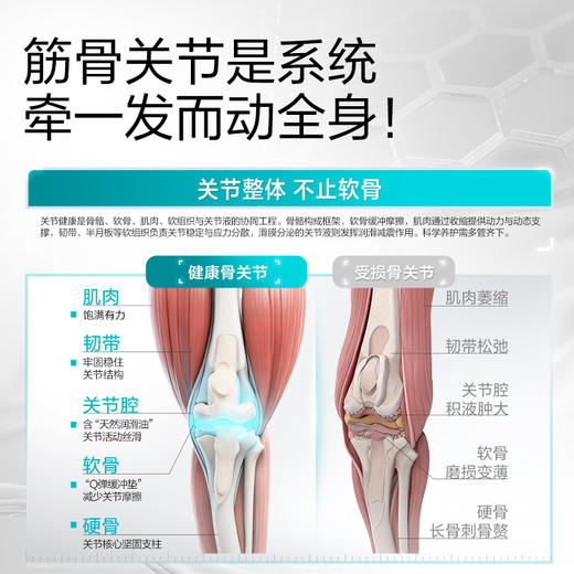 【卫仕筋骨魔方粮】轻松养护关节五效合一筋骨魔方犬粮 商品图1