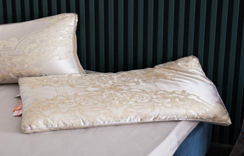 恐龙 A22A 布蕾尼桑蚕丝枕 商品图0