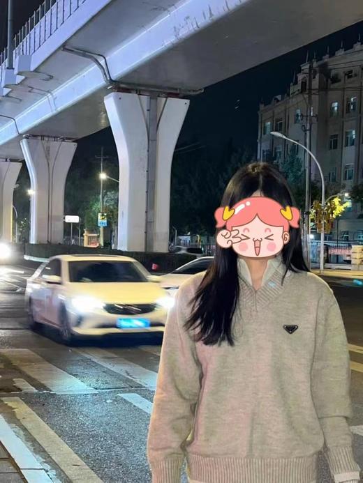 F012408新款慵懒风复古老钱风假两件v领翻领毛衣 商品图2