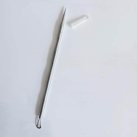 F378不锈钢暗疮针-纪念日百货门店同款169449065 商品图4