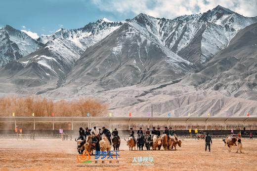 3月28日出发（四驱车）春摄新疆A：南疆帕米尔高原杏花村•卡拉库里湖•盘龙古道•大同乡杏花村•塔吉克民族风光人文10天摄影（精品团）Y 商品图7