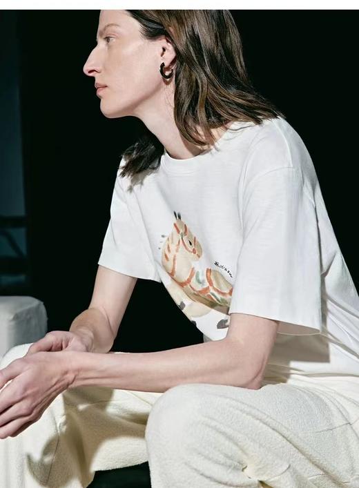 F012477春季新款马年限定五花马图腾印花T恤 商品图9