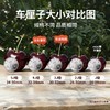 【智利车厘子❗一口爆汁】个大饱满，新鲜水果包邮5斤礼盒装当季整箱孕妇进口樱桃3j4j5j级。rf 商品缩略图1