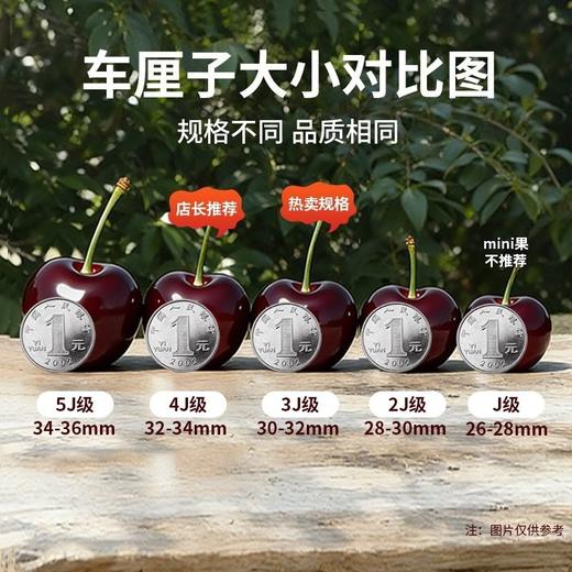 【智利车厘子❗一口爆汁】个大饱满，新鲜水果包邮5斤礼盒装当季整箱孕妇进口樱桃3j4j5j级。rf 商品图1