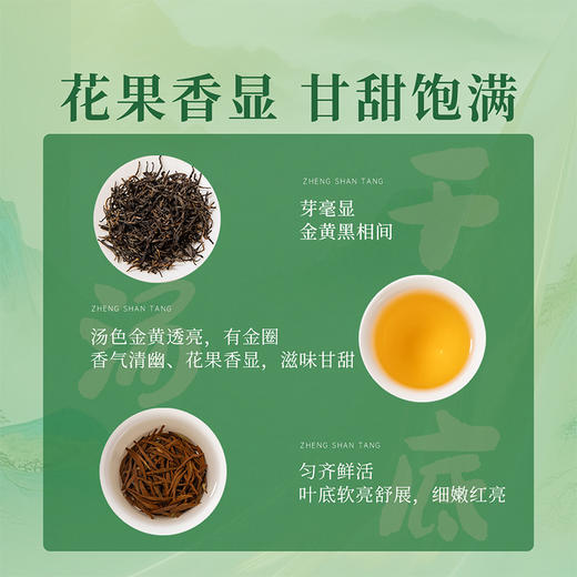 正山堂巴东红 骏眉中国湖北特级红茶罐装茶叶正宗单芽花果蜜香 商品图1