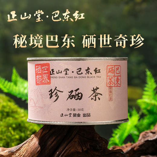正山堂巴东红珍硒茶 骏眉中国湖北特级红茶正宗单芽茶叶花果香罐装 商品图0