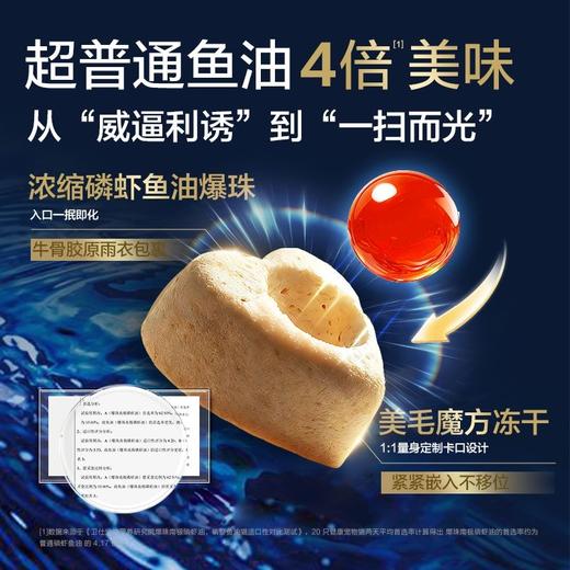 磷虾鱼油魔方猫狗通用美毛亮毛营养补充虾青素高适口性 商品图1