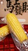 田里有草，东北玉米新年礼盒（10支） 商品缩略图2
