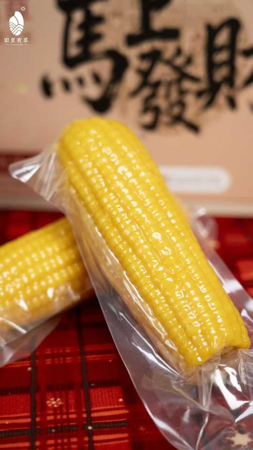 田里有草，东北玉米新年礼盒（10支） 商品图2