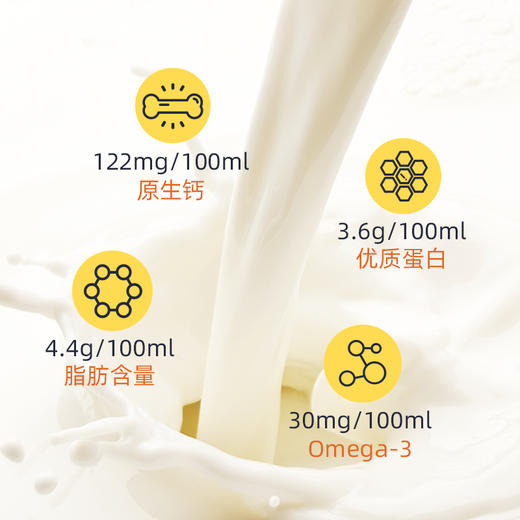 荷兰乐荷 有机A2β酪蛋白纯牛奶 1L*4 / 1L*12 商品图5