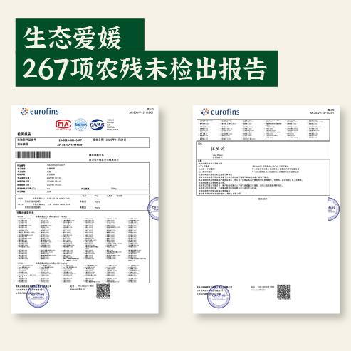 生态爱媛橙水果片 3袋装 不添加额外糖0添加剂无硫 干吃即食泡水 商品图1