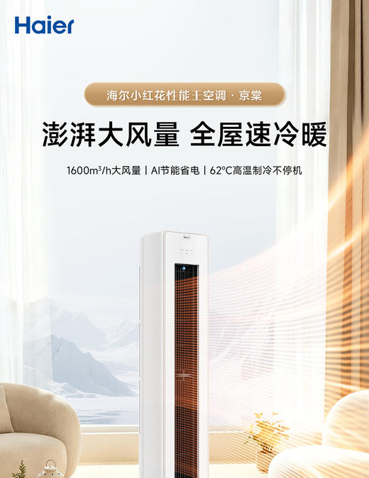 海尔（Haier）小红花性能王·京棠2P客厅柜机一级能效KFR-50LW/J300-1套机 商品图0