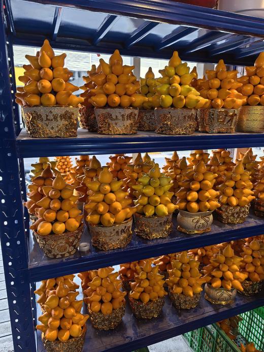 五代果五代同堂五代果含花盆 商品图7