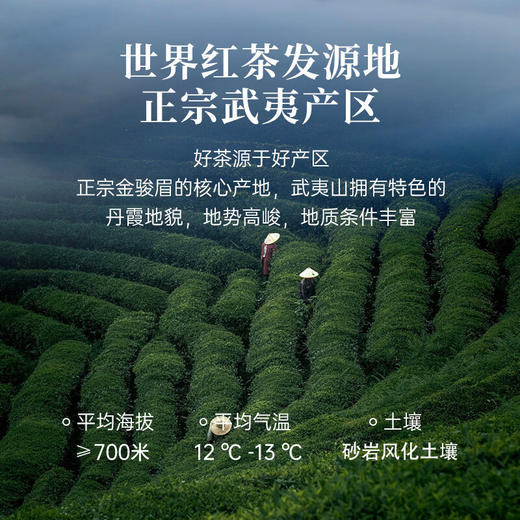 华祥苑 华祥庄园 金骏眉红茶武夷山特级茶叶 特选口粮茶 商品图3
