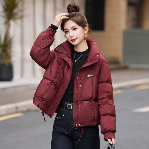 羽绒服冬季新款小个子白鸭绒立领面包服时尚保暖外套ASLZ9529-1 商品图0