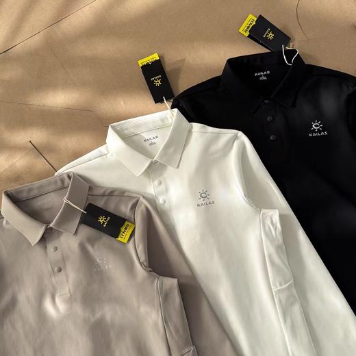 F012411秋冬季精典百搭翻领长袖T恤polo衫男款 商品图1