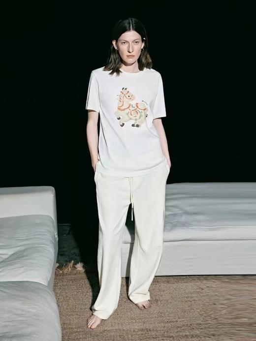 F012477春季新款马年限定五花马图腾印花T恤 商品图2