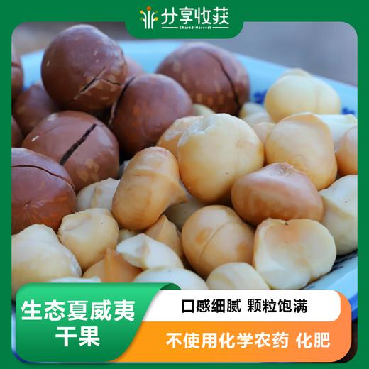 生态夏威夷干果 | 口感细腻、颗粒饱满 | 合作生产 | *Ecological macadamia 商品图0