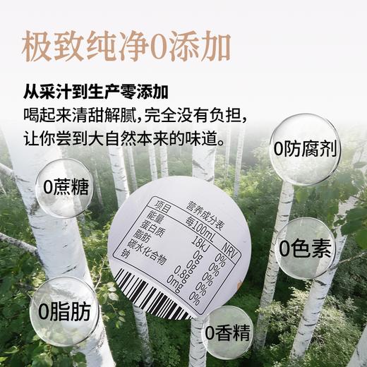 白桦树汁 100%NFC白桦树汁 源自小兴安岭天然白桦林  6瓶礼盒装 商品图2