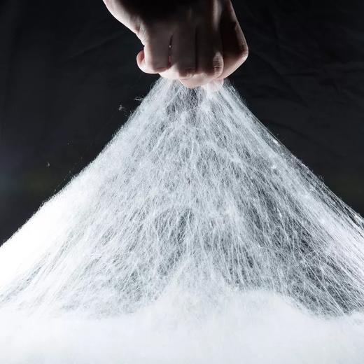 【分销】【桐乡蚕缘蚕丝被】桑蚕丝（长丝） 蚕丝被国标起草单位，真正源头厂家直发，有内衬和手提袋， 结婚陪嫁置办新被推荐 商品图8