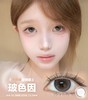 MILK GRAY 玻色因【日抛】 商品缩略图0