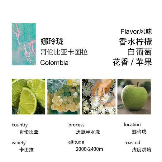诚品 清爽白葡萄哥伦比亚娜玲珑卡图拉 厌氧半水洗处理手冲咖啡豆 商品图1