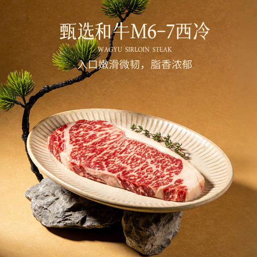 【茶牛M7和牛礼盒】澳洲安格斯牛种 真材实料 鲜嫩口感 商品图2