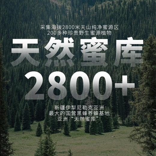 新疆伊犁黑蜂蜂蜜 500g/瓶 2800米天山纯净蜜源 第46届全球蜂蜜金奖 商品图1