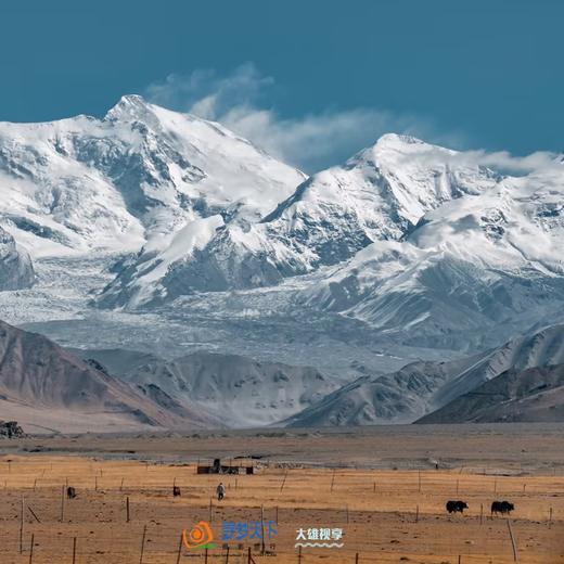 3月28日出发（四驱车）春摄新疆A：南疆帕米尔高原杏花村•卡拉库里湖•盘龙古道•大同乡杏花村•塔吉克民族风光人文10天摄影（精品团）Y 商品图13