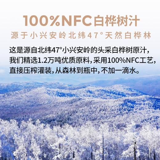 白桦树汁 100%NFC白桦树汁 源自小兴安岭天然白桦林  6瓶礼盒装 商品图1