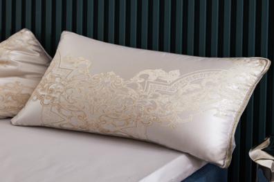 恐龙 A21A 匠·桑蚕丝匈牙利鹅绒枕 商品图0