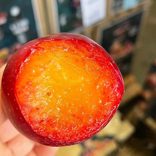 智利 樱桃李 5勾大果 商品图0