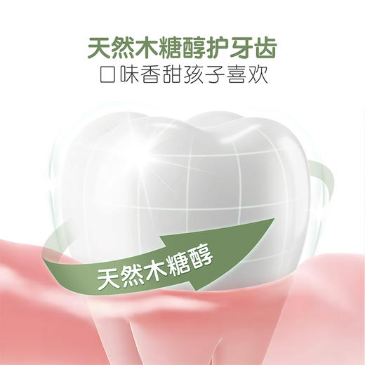 【口腔喷雾】青少年适用 清新口气 呵护牙齿 小巧便携 口气清新剂 口腔清新舒爽喷雾20ml 商品图4