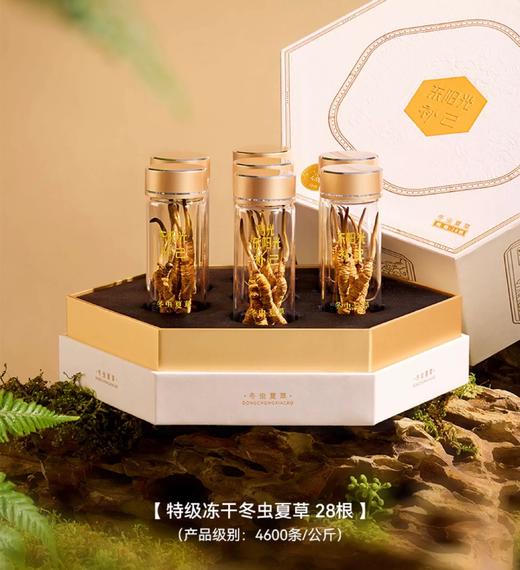 [商场同款]东阳光补己金标冬虫夏草28根装虫草礼盒干货滋补送礼 商品图2