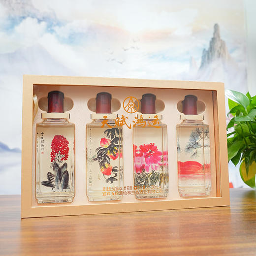 五粮液主产区 天赋鸿运祖国颂优级竹荪酒500ml*4瓶礼盒装【不支持七天无理由退换】-FF 商品图3