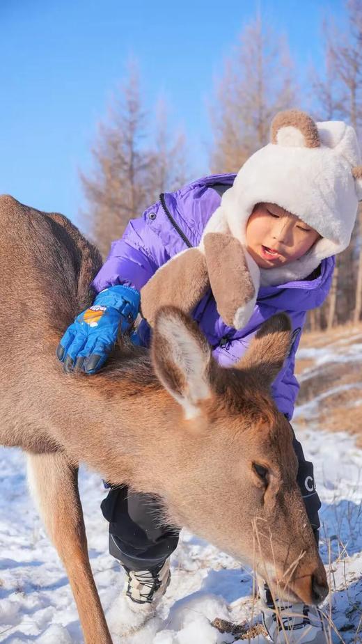 6日5夜乌兰布统冬令营 商品图0