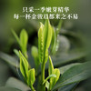 华祥苑 华祥庄园 金骏眉红茶武夷山特级茶叶 特选口粮茶 商品缩略图4