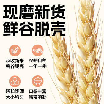 赤川燕麦米（麦仁 东北 五谷 杂粮 粗粮 真空装 粥米伴侣）1.8斤 /粮油调味 /杂粮 /谷米类 商品图1
