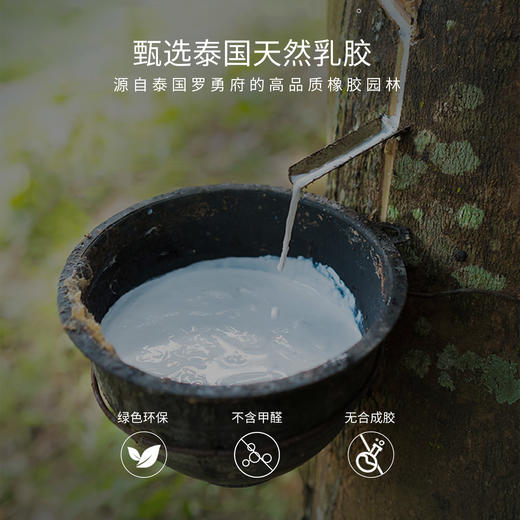 【2件装】舒妍娜软支撑乳胶杯内衣 柔软亲肤 自然挺拔聚拢 立体固定杯稳定承托 多色可选 商品图3