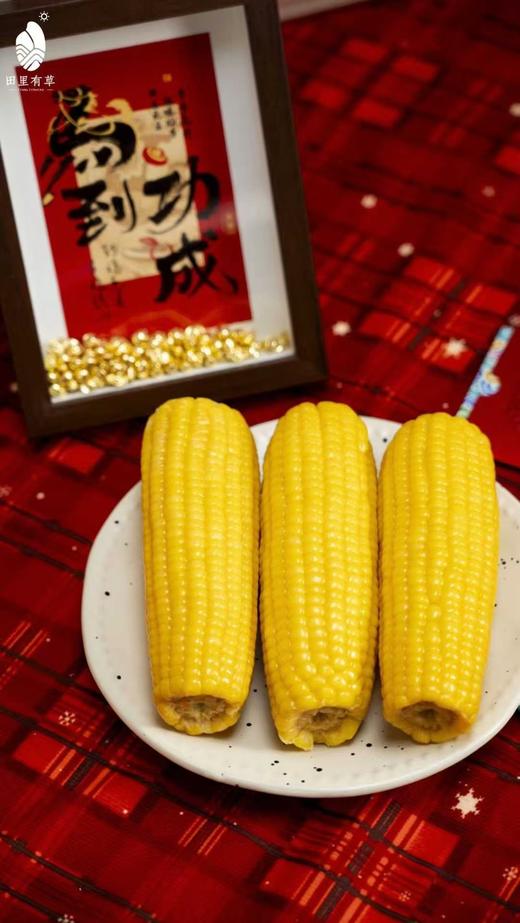 田里有草，东北玉米新年礼盒（10支） 商品图3