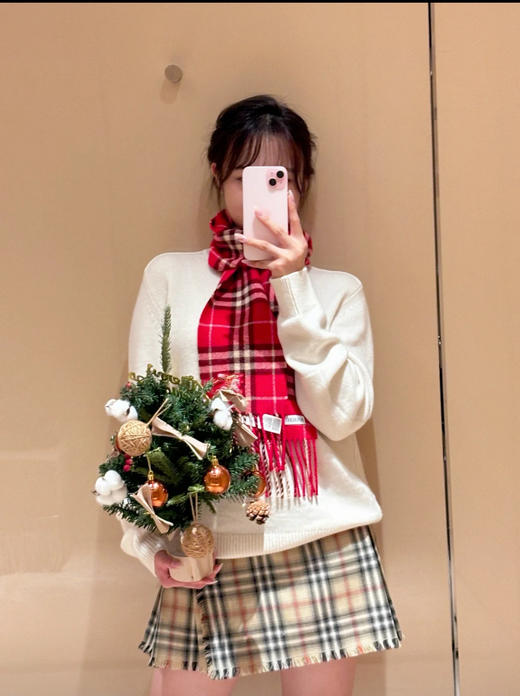 巴宝莉 2026最新款 格纹百褶短裙(KX*MM) 商品图2