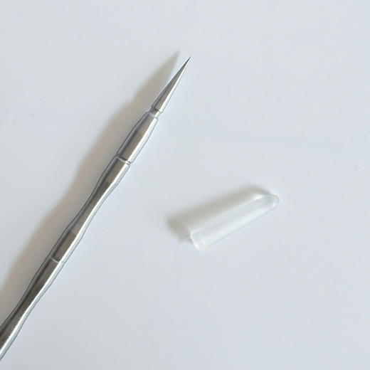 F378不锈钢暗疮针-纪念日百货门店同款169449065 商品图3