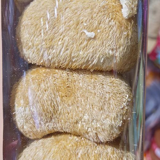 玖谷拾粮 精选猴头菇（128克） 商品图2