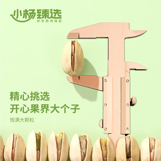 小杨臻选鲜咸酥脆开心果425g*2罐装 颗粒酥脆饱满解馋 过年年货 商品图3