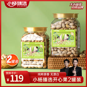 小杨臻选鲜咸酥脆开心果425g*2罐装 颗粒酥脆饱满解馋 过年年货