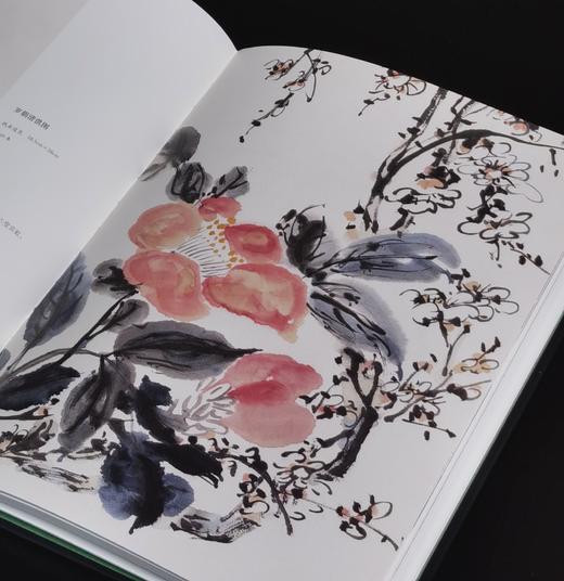 【特惠】《荣宝斋藏张大千精品集+黄宾虹精品集》，16开，平装，张大千，黄宾虹绘，荣宝斋出版社，2025年一版一印，总定价：506，售价：188，可分售 张大千一册售价：88，黄宾虹一册售价：100 商品图13