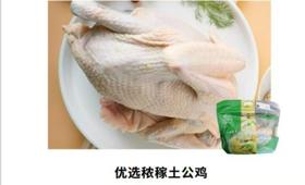 优选秾稼土公鸡