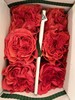 肯尼亚进口coral reeeva红珊瑚玫瑰6支 商品缩略图4