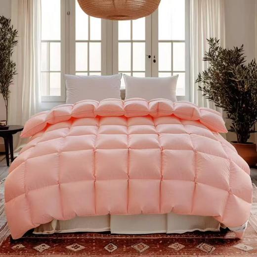 （全棉静音羽绒被套 送工具）款自制羽绒被壳半成品 自充绒高密双层防钻绒自制套 商品图7