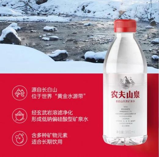 农夫山泉 长白山 天然矿泉水380ml/瓶 商品图2